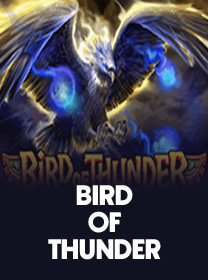 Bird of Thunder Game Terbaru untuk Android dan iOS — ikon game
